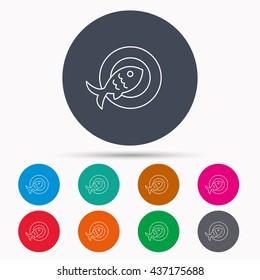 Fish dish icon. Natural seafood symbol. Icons in colour circle buttons. Vector