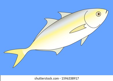 Fish diving in seawater or freshwater