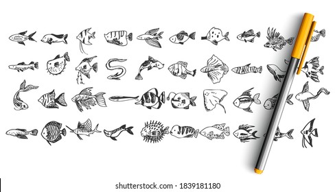 Fish doodle set. Collection of pen pencil ink hand drawn sketches templates patterns of different seafood ocean river lake animals isolated in line. Marine life and fishing illustration