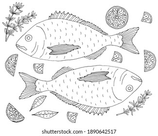 Fish dorado with lemon and thyme hand drawn, isolated. Fish dish, coloring page. Vector illustration