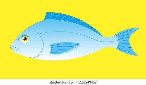 Fish Dorado on yellow background. Vector illustration.