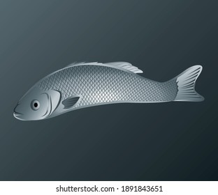 Fish drawing in color vector outline