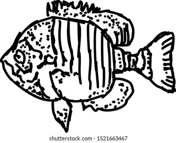 Fish drawing, illustration, vector on white background.