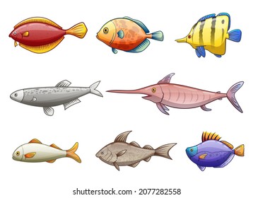 Fish drawing vector design illustration isolated on white background