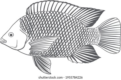 Fish, drawn with gray lines, with an open mouth. Drawn illustration on a white background.
