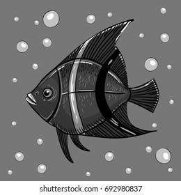 Fish is drawn. Vector illustration.