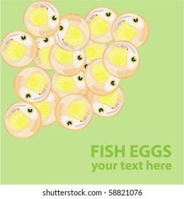 Fish eggs caviare embryo