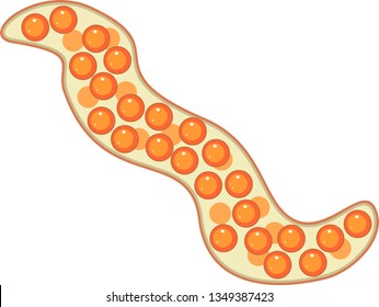 Fish eggs isolated on white background