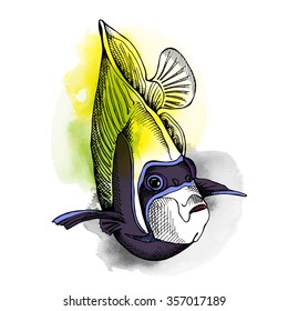 Fish Emperor Angelfish. Vector illustration.