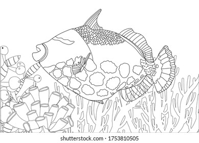 Fish exotic coloring. Antistress coloring page. Sea creatures. Ocean fish. Vector illustration.