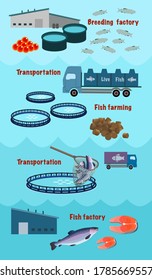 Fish farming. Aquaculture supply chain infographic. Breeding plant for hatching fry from caviar, delivery, fish processing. Vector cartoon illustration.