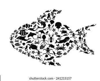 fish filled with small sea life