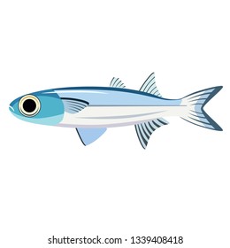 fish flat illustration isolated on white. Marine and underwater life series