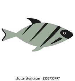 fish flat illustration on white