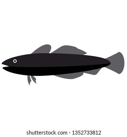 fish flat illustration on white