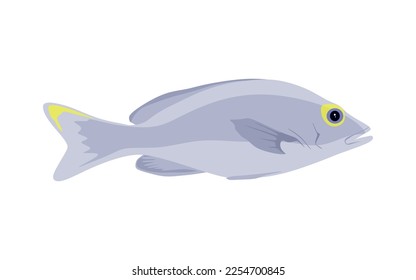 Fish in flat style. Gray and yellow Fish illustration isolated on white background. vector illustration