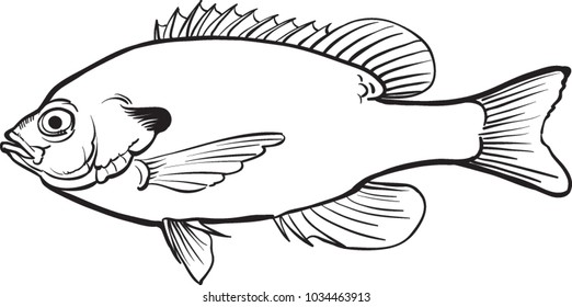 Fish. Flat vector illustration in black on white background