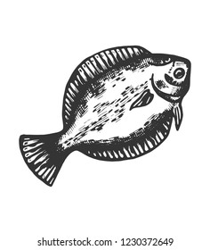 fish flounder sketch isolated animal object black