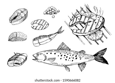 Fish food, salmon, steak, filet. Hand drawn outline converted to vector. Isolated on transparent background