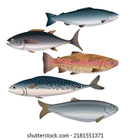 fish food set cartoon. market salmon, tuna, trout, mackerel, herring, ocean sea, deep marine fish food vector illustration