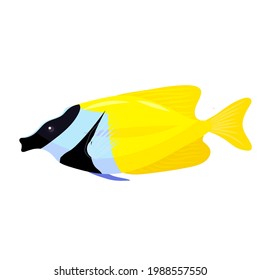 zorro de peces, dibujo, ilustración vectorial
