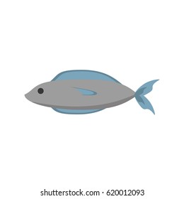 fish fresh food image