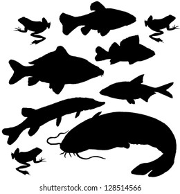 Catfish Silhouette High Res Stock Images Shutterstock