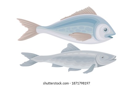 Fish as Gill-bearing Aquatic Animal Used as Seafood Vector Set