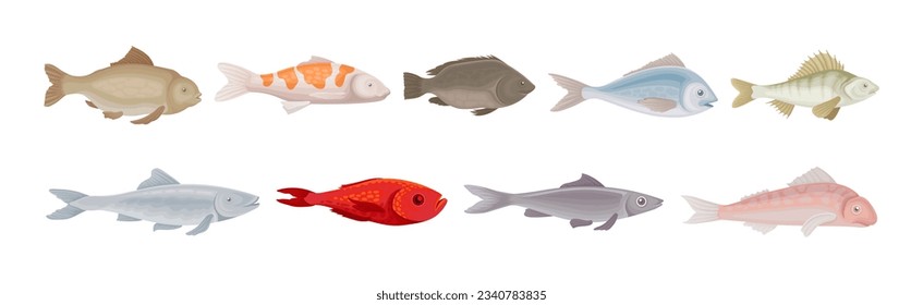 Fish as Gill-bearing Aquatic Animal Used as Seafood Vector Set