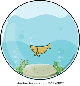 fish in the glass boll 