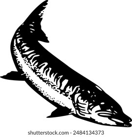 Fish going down, fish jumping into water