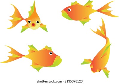 Fish  Goldfish Swimming - Above, Side And Front Views