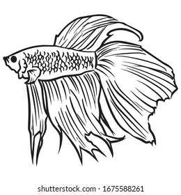 fish graphic design vector illustration, vintage symbol, draw black, art, sketch tattoo