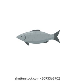 Fish in graphic, vitamin healthy food in flat vector illustration isolated on white background. Simple icon of sea or river fish, bass, salmon. Aquarium animal with tail and fins.