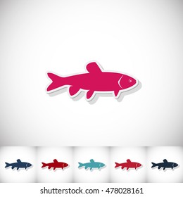 Fish grass carp. Flat sticker with shadow on white background. Vector illustration