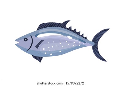 Fish gray and blue marine fishes vector illustration on white background