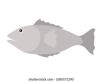 fish gray isolated icon