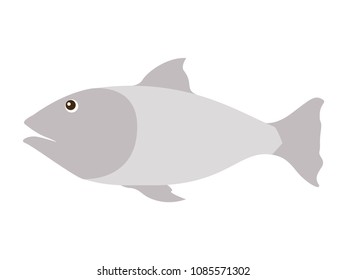 fish gray isolated icon
