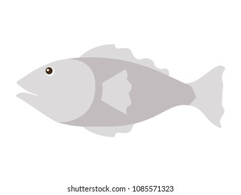 fish gray isolated icon