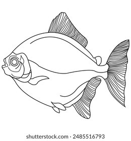 fish hand draw outline icon vector with white background 