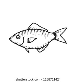 fish hand drawing vector. vintage insulated element.