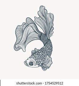 fish hand drawn artwork illustration