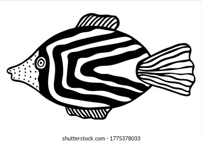 Fish, hand drawn isolated vector illustration in black and white