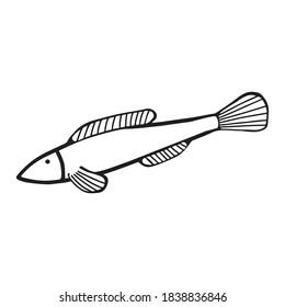 Pescado. Ilustración vectorial dibujada a mano en estilo doodle, aislada en un fondo blanco.