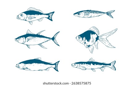 Fish hand drawn vector illustration. Suitable for underwater animal and marine life design element. Salmon, tuna, and herring symbol.