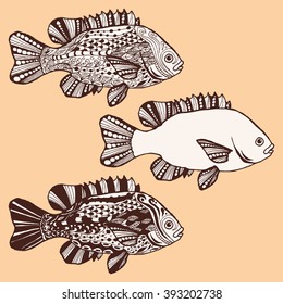 Fish. Hand-drawn fantasy fish with ethnic doodle pattern. Coloring page - zendala, for relaxation and meditation for adults, vector illustration, isolated on a white background. Zen doodle.