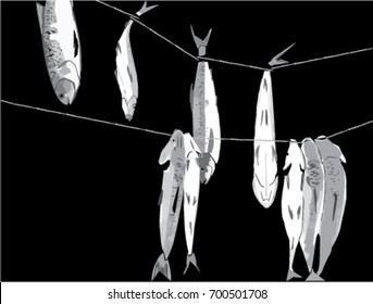 Fish hanging on a rope on a black background.