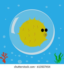 Fish hedgehog, seal, icon, logo, symbol.