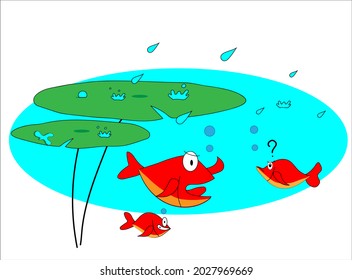 fish hiding from the rain under the lotus leaf