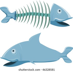 Fish with his fishbone, on white background